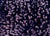 Textures Collection - French Fries