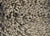 Textures Collection - French Fries