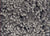 Textures Collection - French Fries