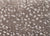 Wild n Wooly - Leopard
