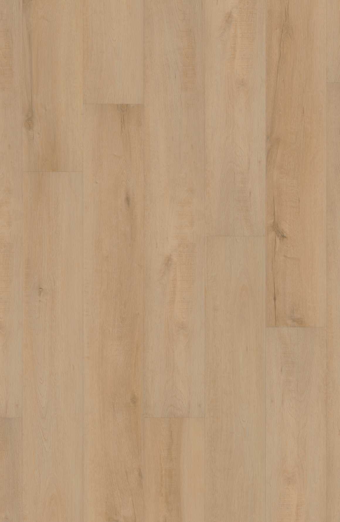 Comfort NE+ in Frontier Oak