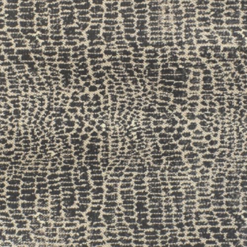 Fuego in Avid Carpet