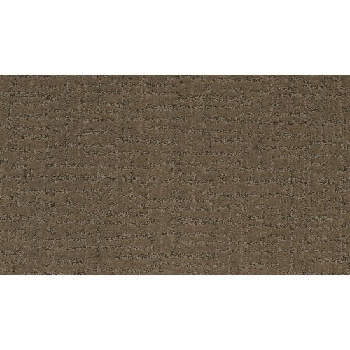 Modern Passage in Weathered Plank Carpet