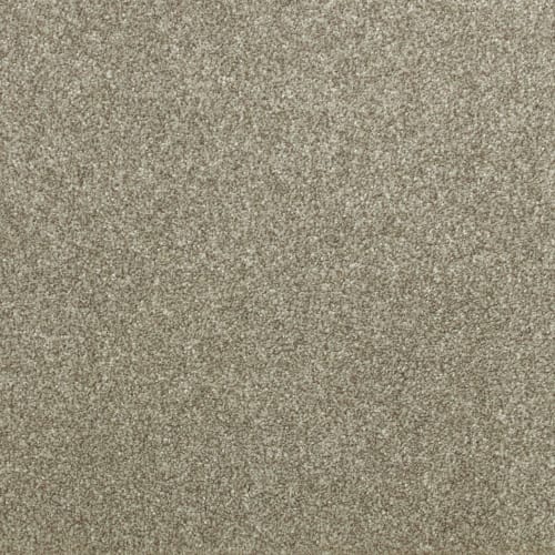 Industrial Tones in Mushroom Cap Carpet