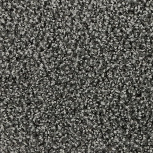 Graceful Intrigue in Nightfall Carpet