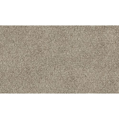 Stylish Connection in Cancun Carpet