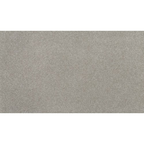 Impressive Shades in Bird Bath Carpet