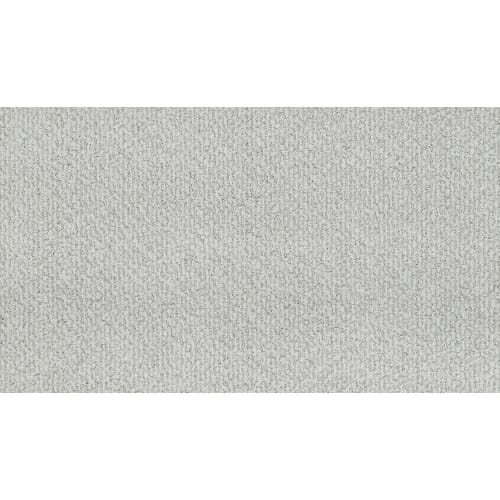 Serene Reflection in Pewter Carpet
