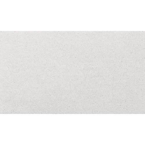 Luxurious Hues in Platinum Carpet