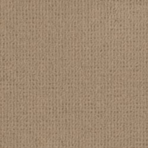 Graceful Transition in ancient Coin Carpet
