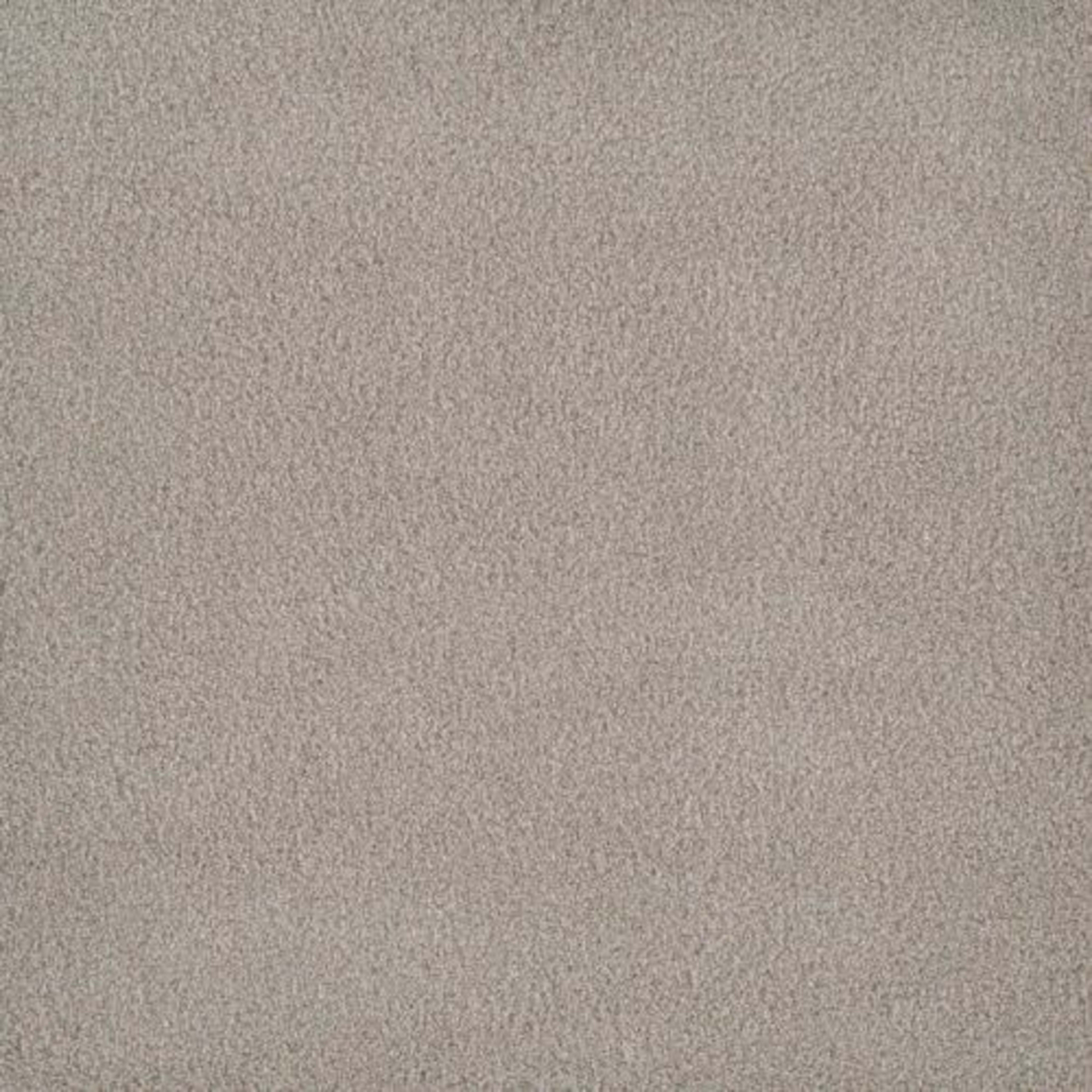 PALMETTO II in Gardenia Carpet