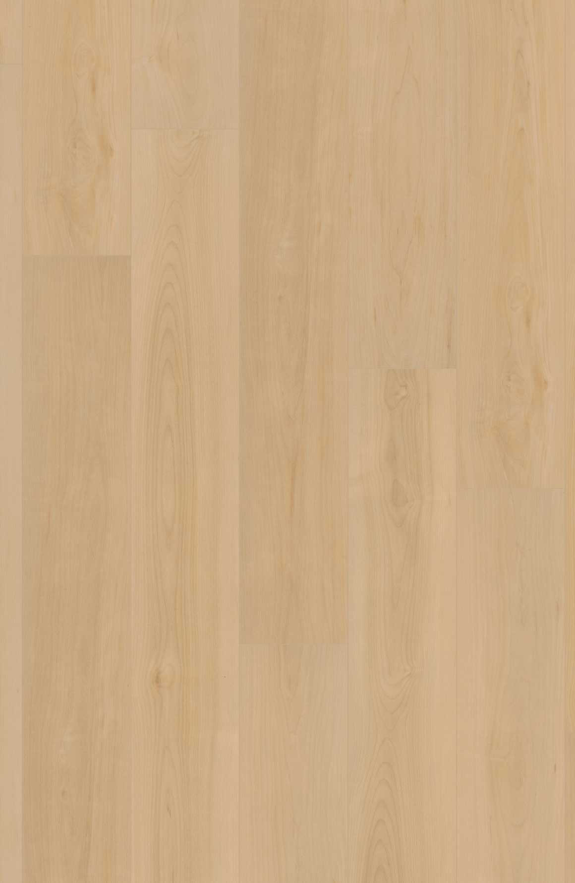 Comfort in Geneva Maple