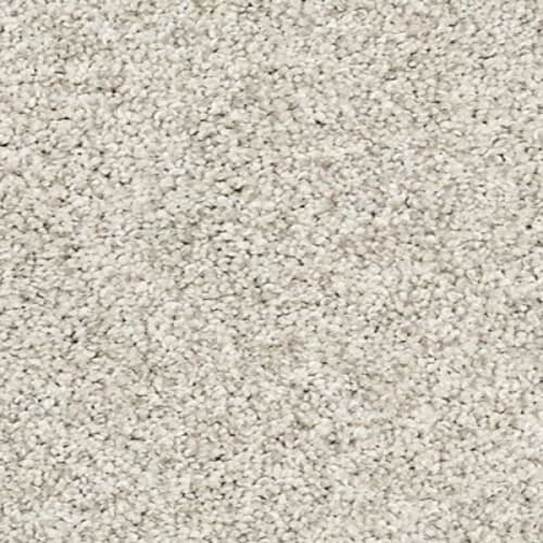 Canine Chic in Grey Whisp Carpet