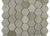 Wooden Beige in Wooden Beige 4x12 Honed