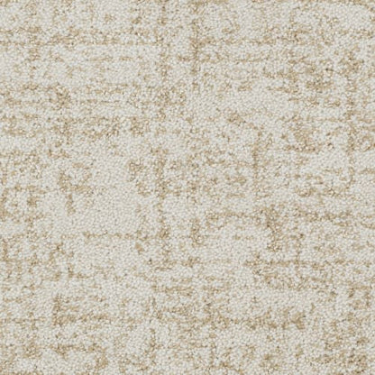 Hollywood Nights in Shoreline Carpet