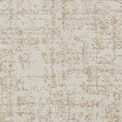 Hollywood Nights in Shoreline Carpet