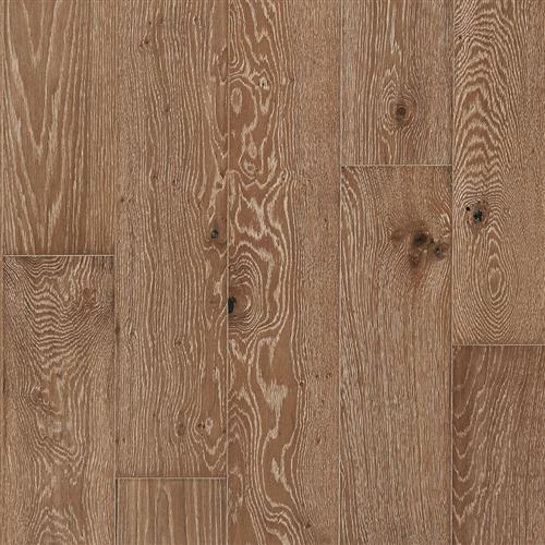 Latitude Collection - Park City