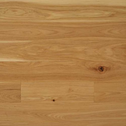 Signature Solid Hickory Excel 2.25"