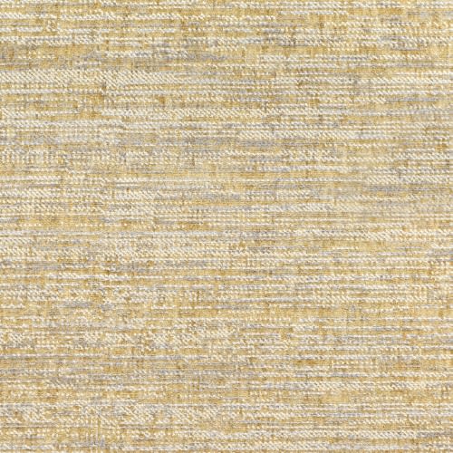 Homey in Limited Carpet
