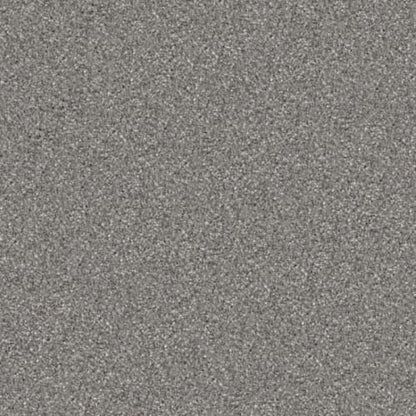Hunter in Rin Tin Tin Carpet