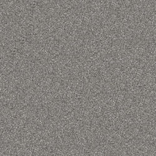 Hunter in Rin Tin Tin Carpet