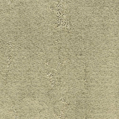 Imperial Point in Meadow Carpet