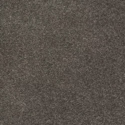 Indescribable Style in Shipwreck Carpet
