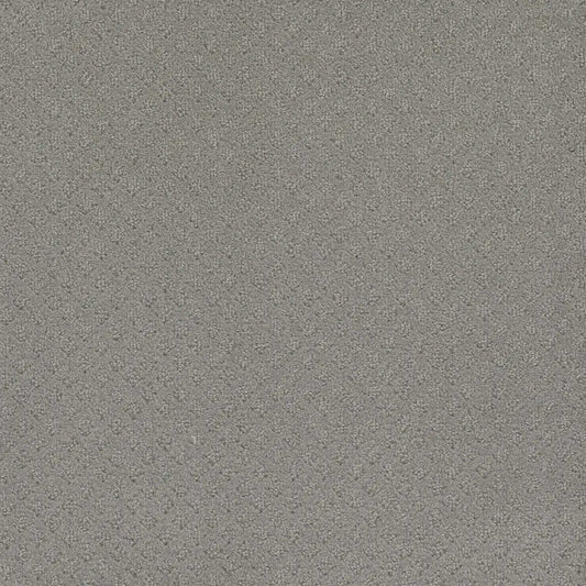 Stellar in Icefield Carpet