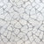 Indulgence in Extravagance Carpet