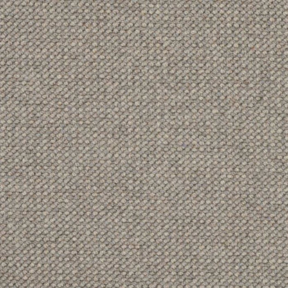 Intention in Fossil Carpet