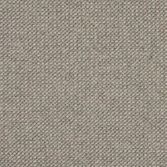 Intention in Fossil Carpet