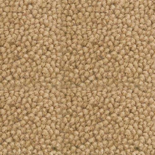 Triumph in Island Clay Carpet