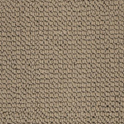 Jamestown in Brown Carpet