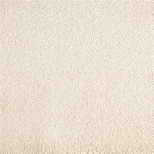 Jolly in Shell Carpet