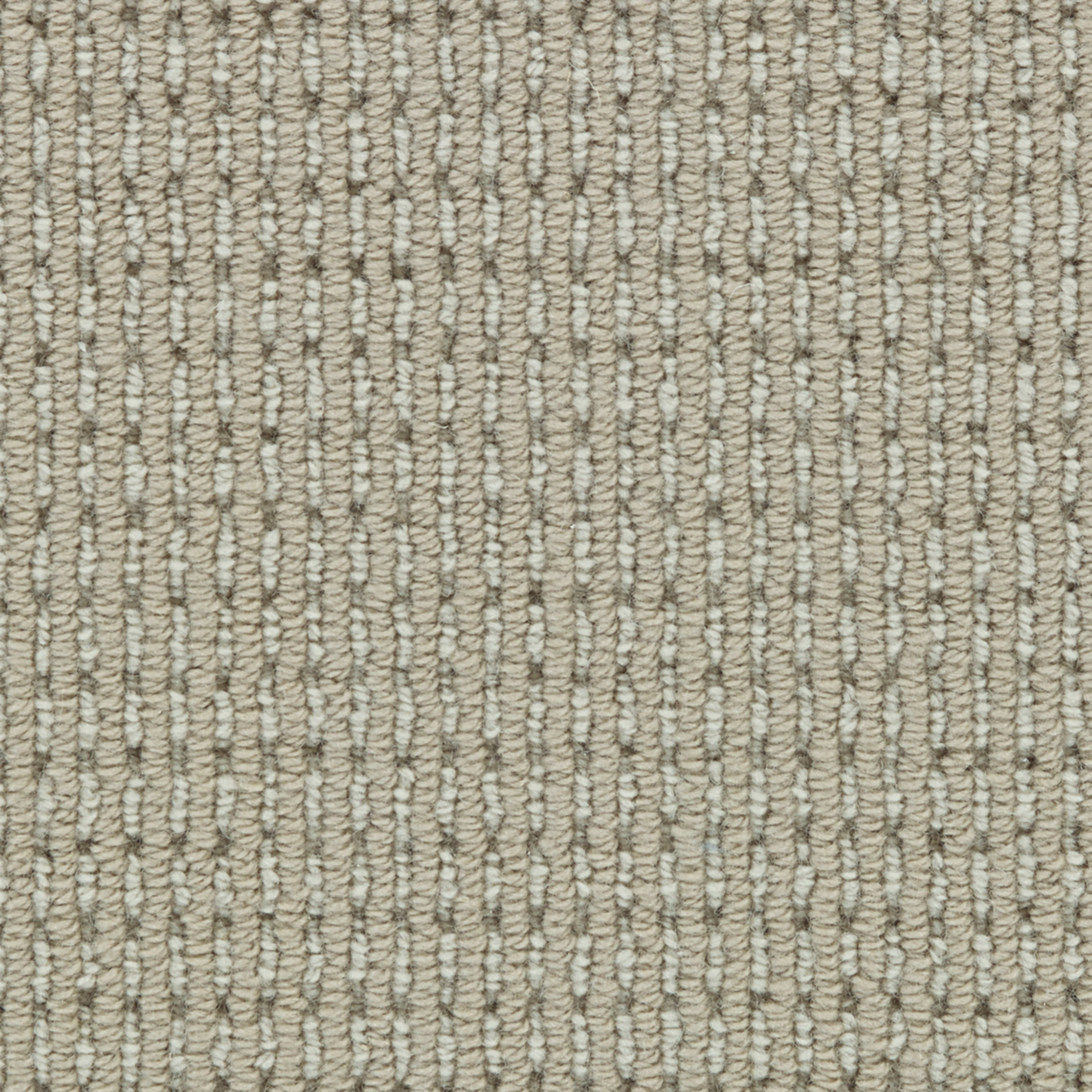Marquess in Parchment Carpet