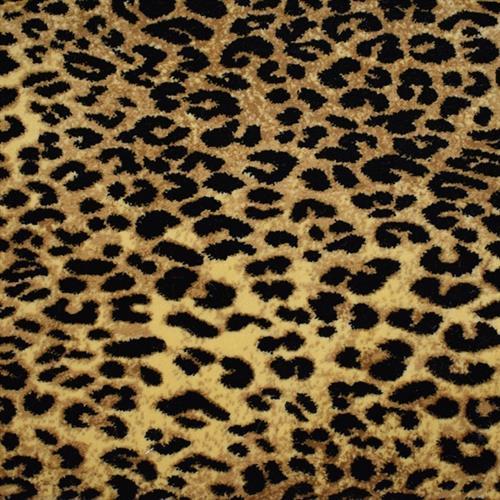 Kaplani in Agile Cheetah Carpet