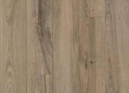 Refined Forest in Platinum