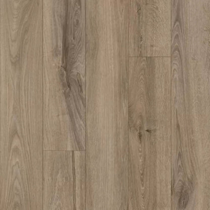 Refined Forest in Platinum