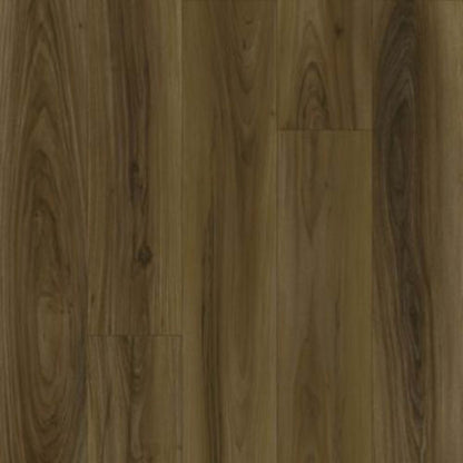 Curated Grain in Natural