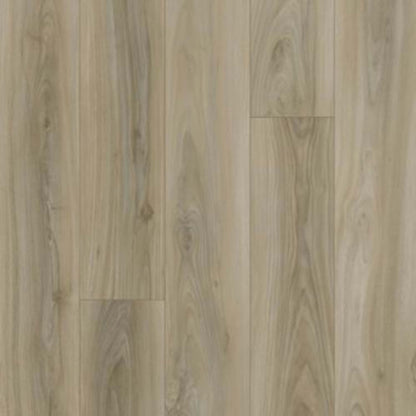 Curated Grain in Natural