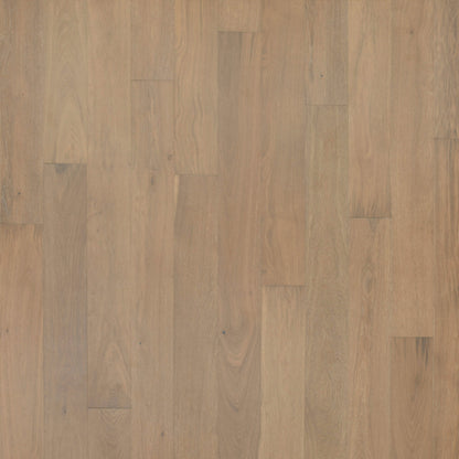 Entrevaux in Oiled Teak Oak
