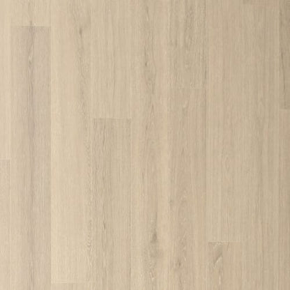 Andilet in Morning Fog Oak