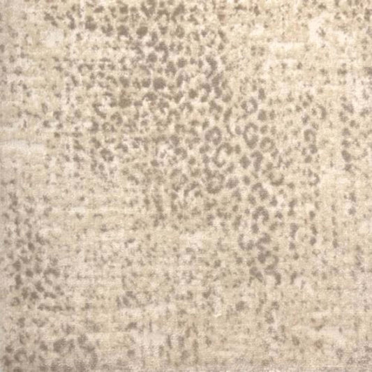 Kiki in Pearl Carpet