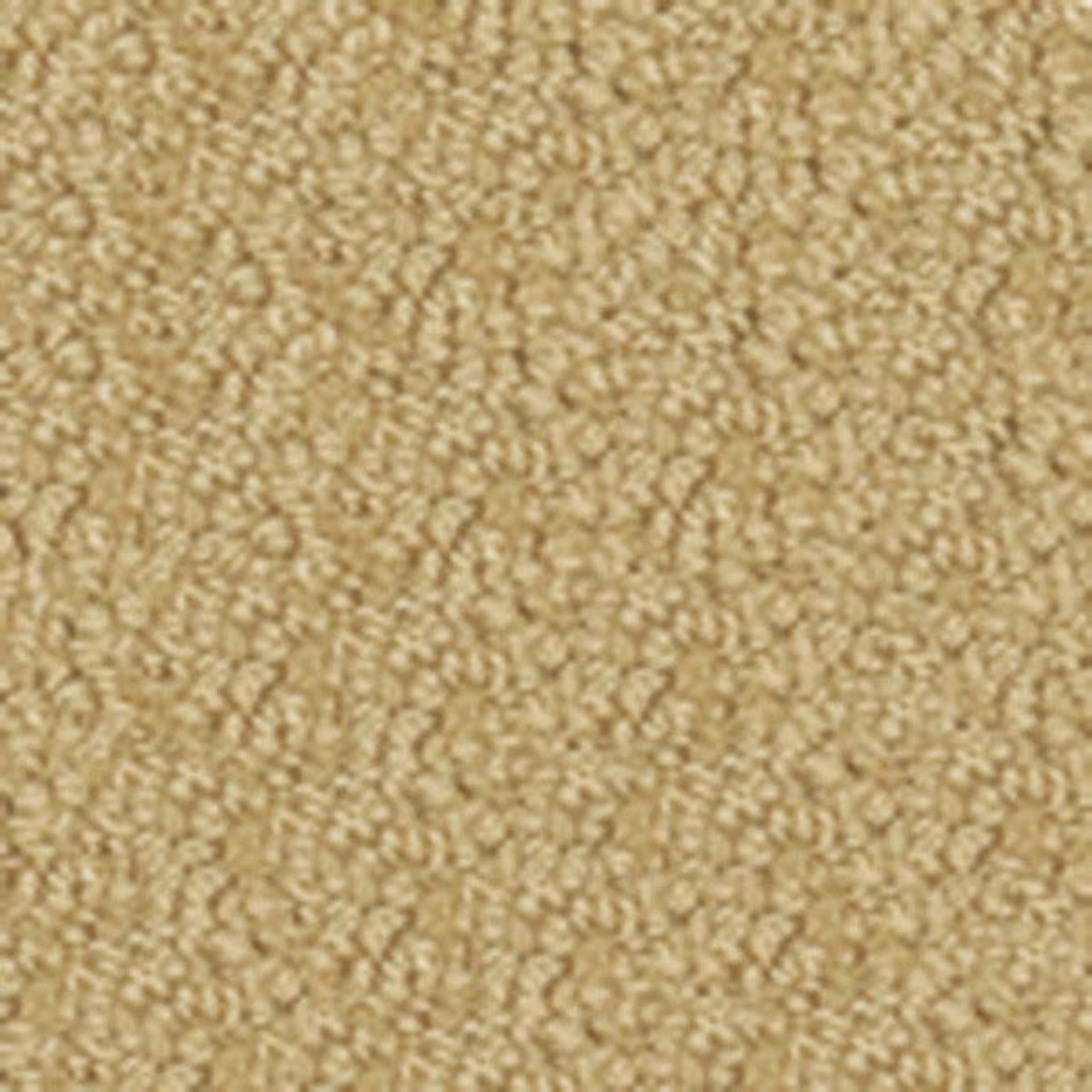 Legends in Costa Mesa Carpet