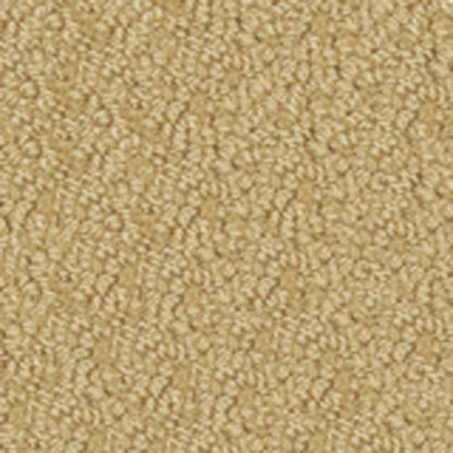 Legends in Costa Mesa Carpet