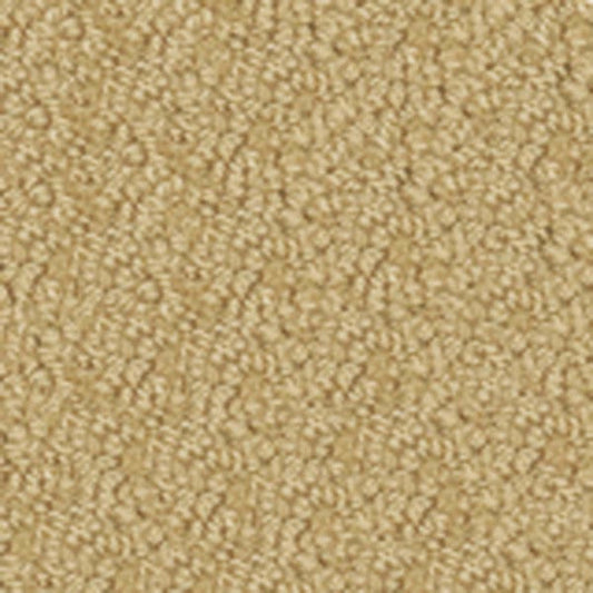 Legends in Costa Mesa Carpet