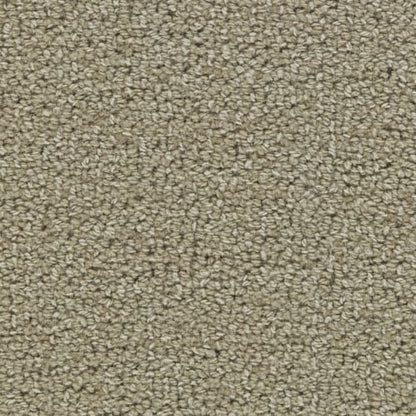 Charade in Tussah Carpet