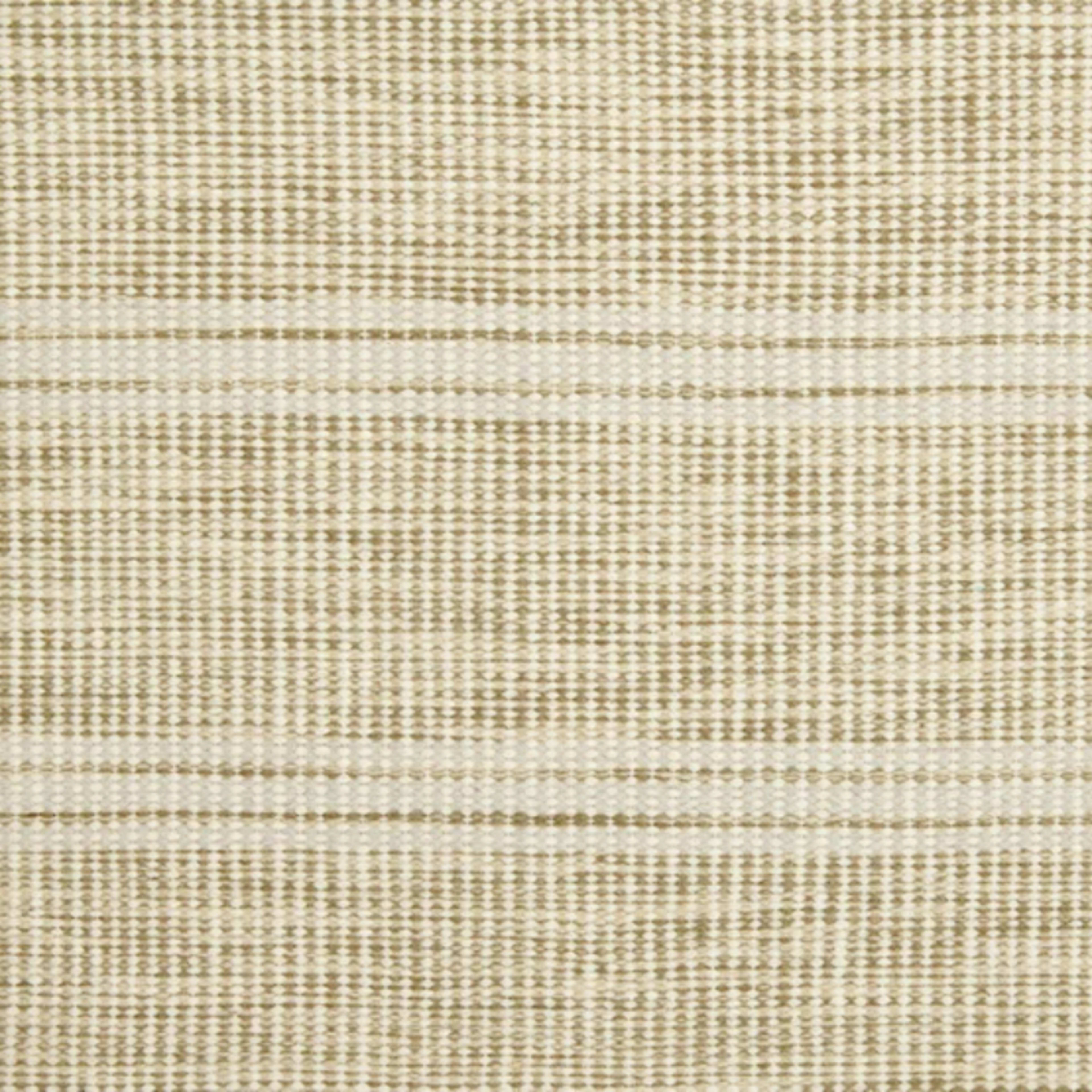 Las Palmas in Green Tea Carpet