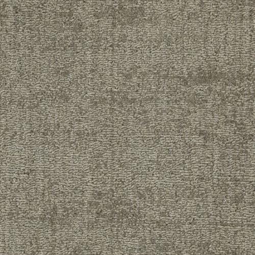 Lauderdale in Graphite Carpet