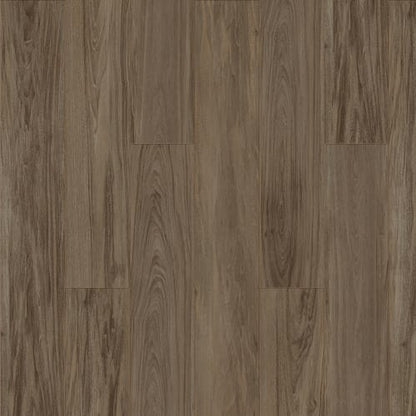 Elevations - Loft
